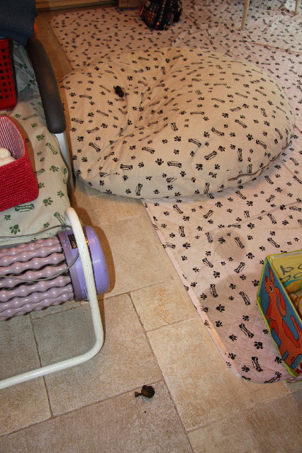 ファイル 2422-1.jpg