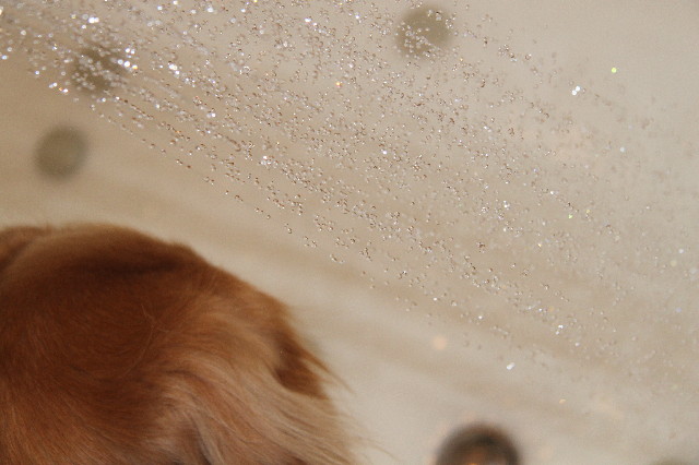 ファイル 2422-5.jpg