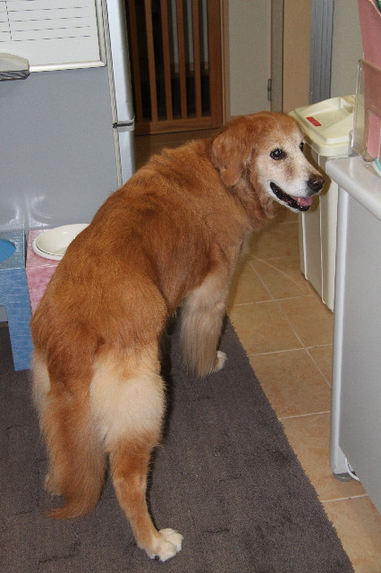 ファイル 2425-1.jpg