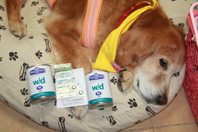 ファイル 2425-2.jpg