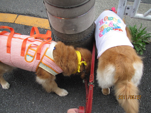 ファイル 2425-3.jpg