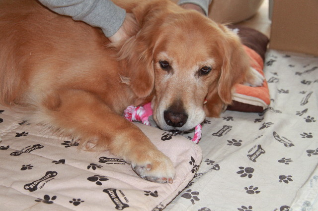 ファイル 2425-5.jpg