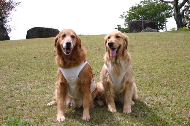 ファイル 243-1.jpg