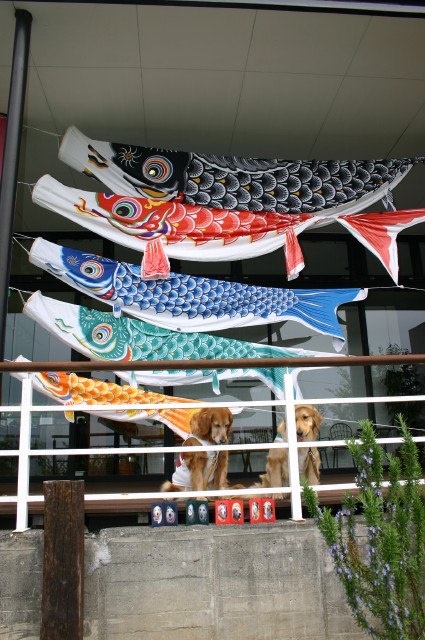 ファイル 243-2.jpg