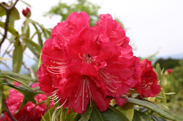 ファイル 243-5.jpg