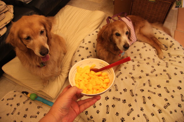 ファイル 2431-1.jpg