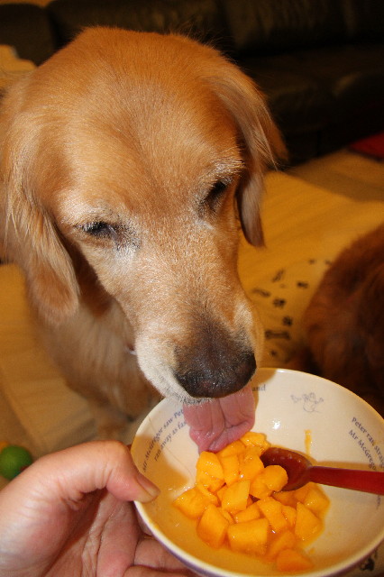 ファイル 2431-4.jpg