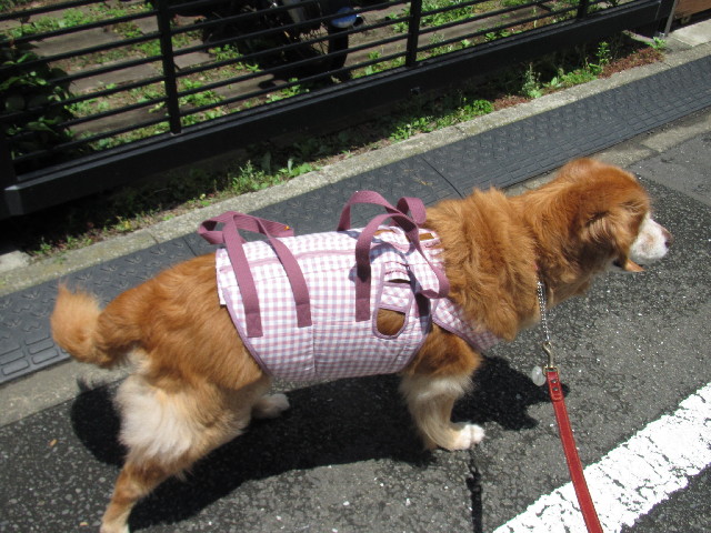 ファイル 2433-2.jpg