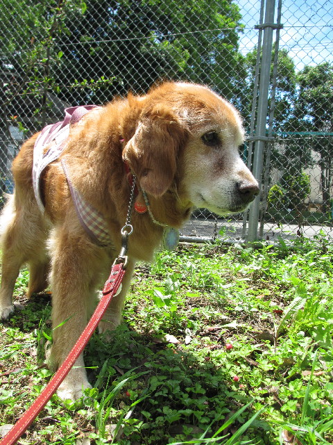 ファイル 2433-4.jpg