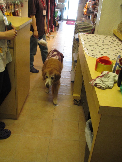 ファイル 2434-2.jpg