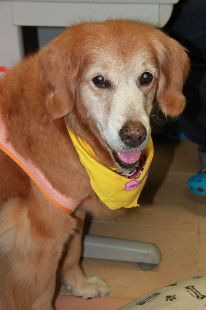 ファイル 2434-3.jpg