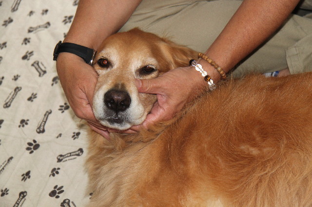 ファイル 2434-4.jpg