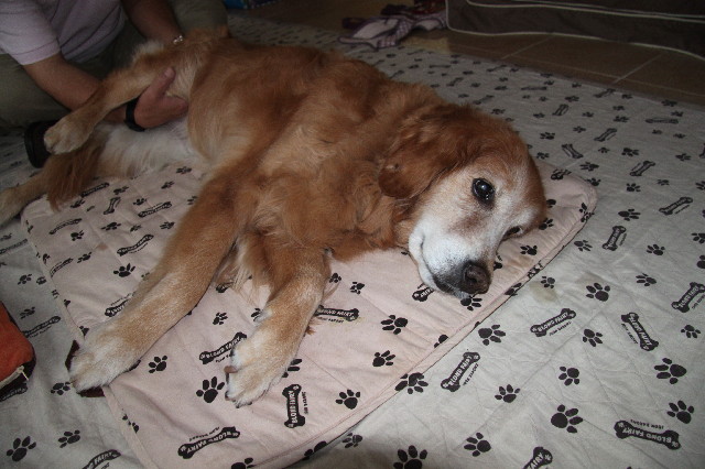 ファイル 2434-5.jpg