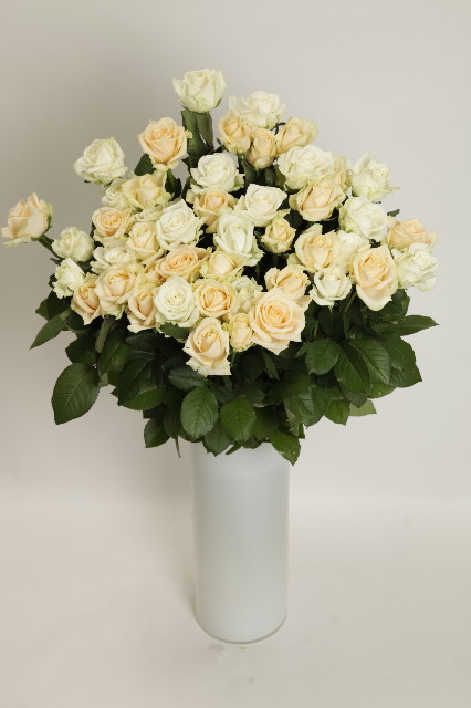 ファイル 2436-2.jpg