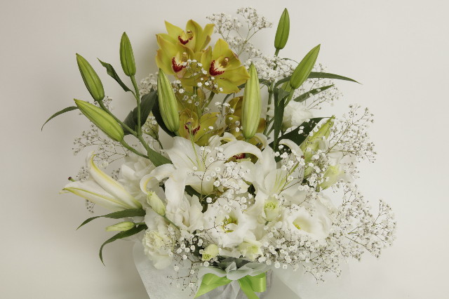 ファイル 2436-3.jpg