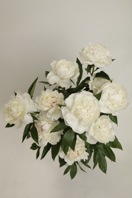 ファイル 2436-4.jpg