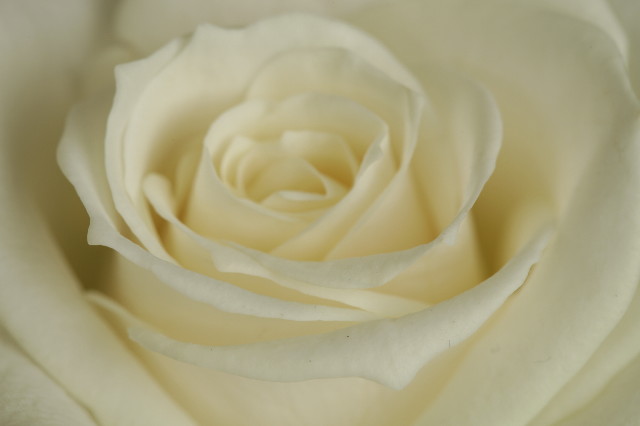 ファイル 2436-5.jpg