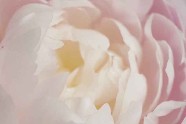 ファイル 2437-1.jpg