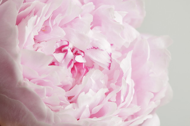 ファイル 2437-2.jpg