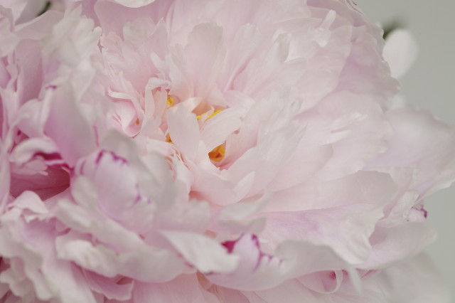 ファイル 2437-5.jpg