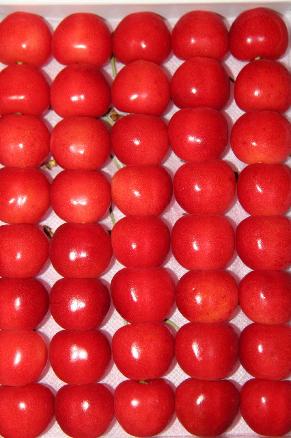 ファイル 2439-1.jpg