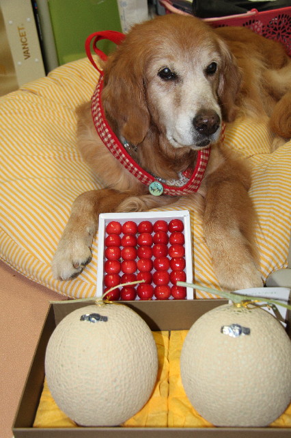 ファイル 2439-4.jpg