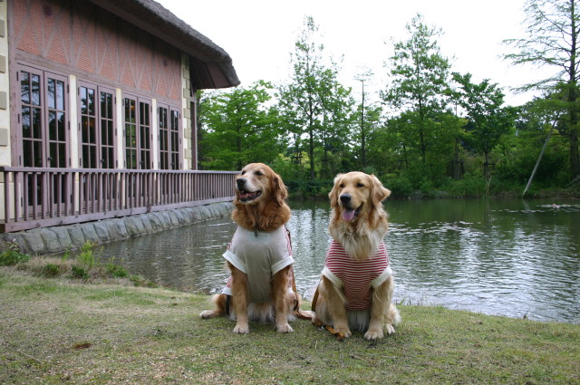 ファイル 244-1.jpg