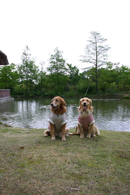 ファイル 244-2.jpg