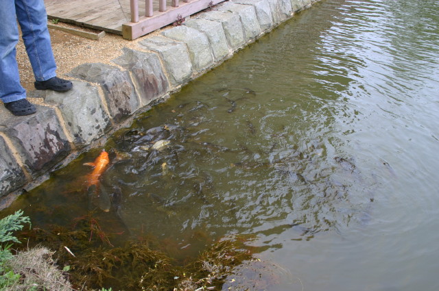 ファイル 244-3.jpg