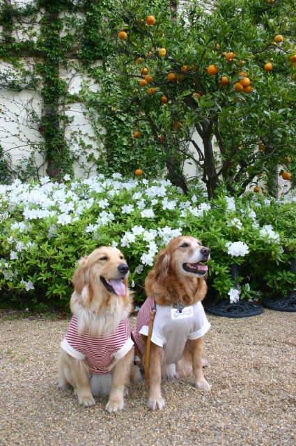 ファイル 244-4.jpg