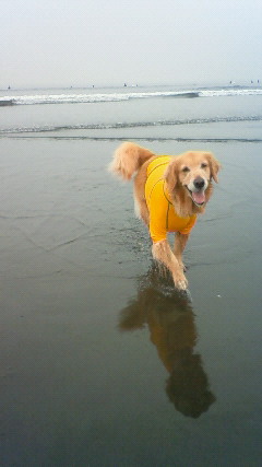 ファイル 2440-3.jpg