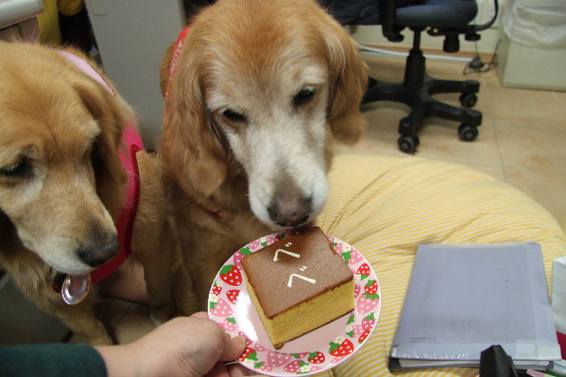 ファイル 2440-5.jpg