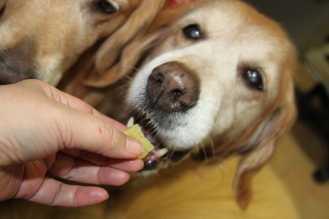 ファイル 2441-2.jpg