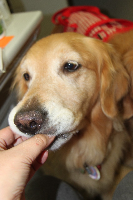 ファイル 2441-3.jpg