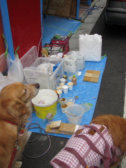 ファイル 2442-3.jpg