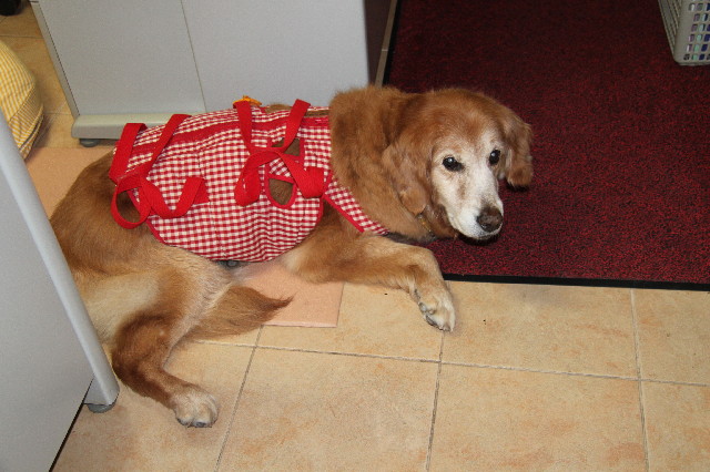 ファイル 2443-1.jpg