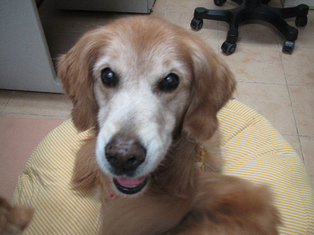 ファイル 2444-2.jpg