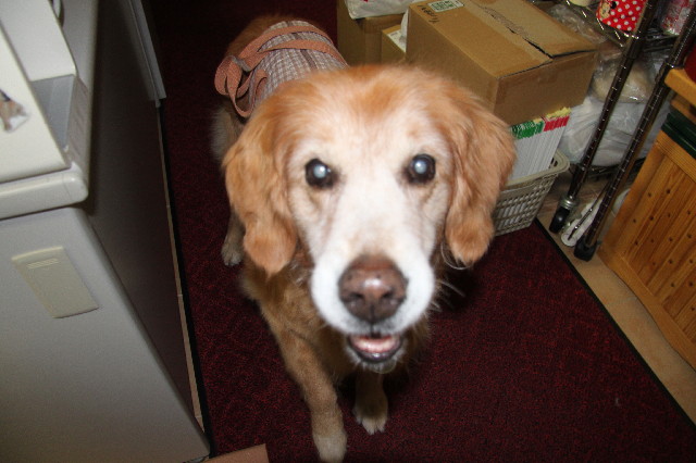 ファイル 2446-4.jpg