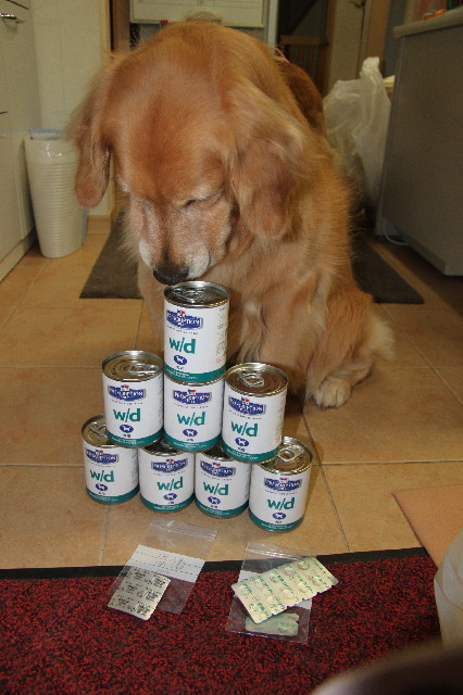 ファイル 2448-2.jpg