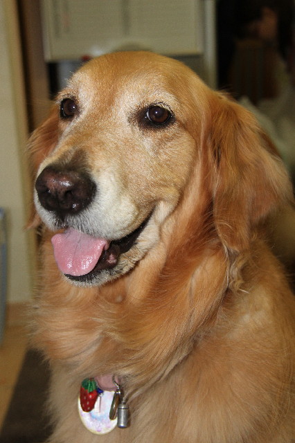 ファイル 2448-3.jpg