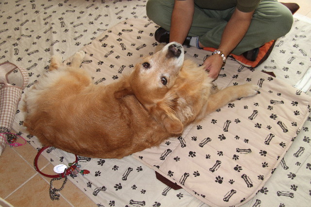 ファイル 2448-5.jpg