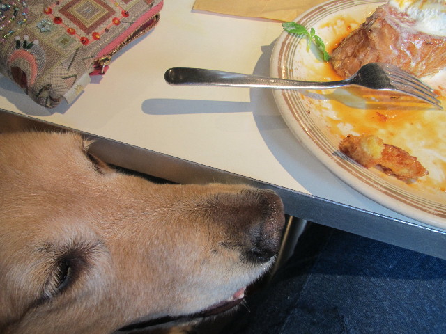 ファイル 2449-5.jpg