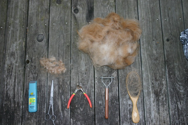 ファイル 245-1.jpg