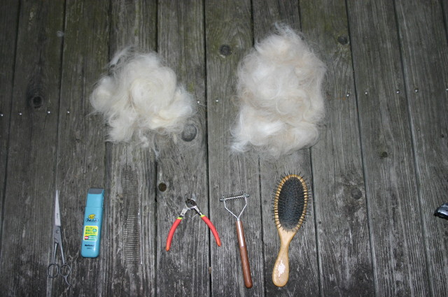 ファイル 245-2.jpg