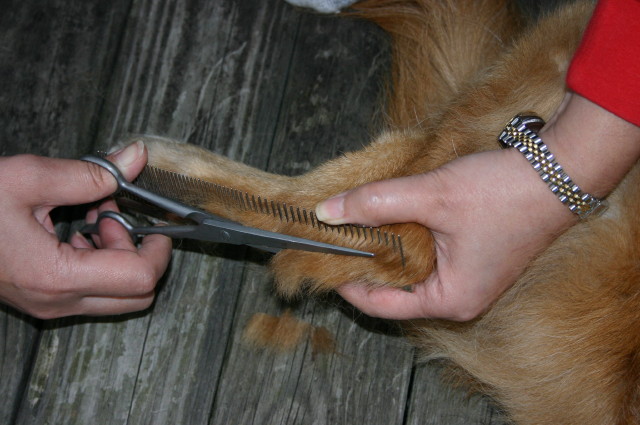 ファイル 245-3.jpg