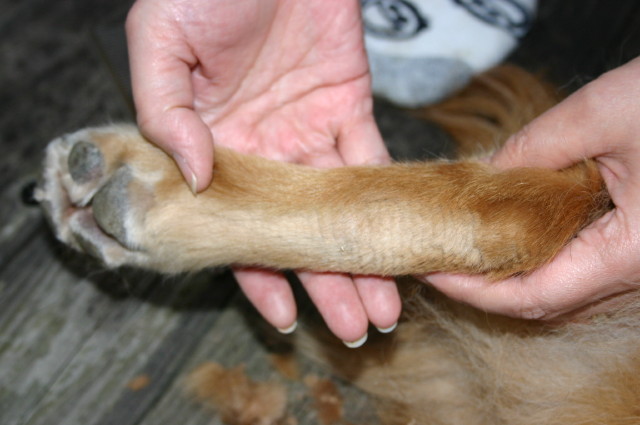 ファイル 245-5.jpg