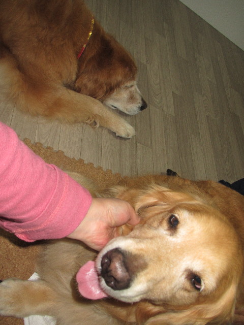 ファイル 2452-1.jpg