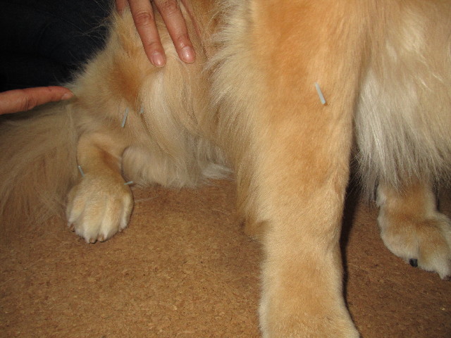 ファイル 2452-3.jpg