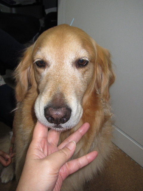 ファイル 2452-4.jpg