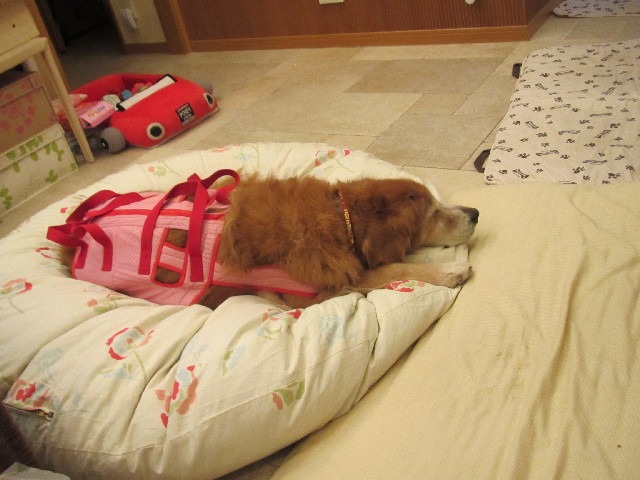 ファイル 2452-5.jpg